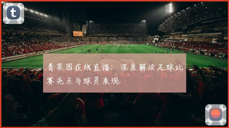 青草园在线直播：深度解读足球比赛亮点与球员表现