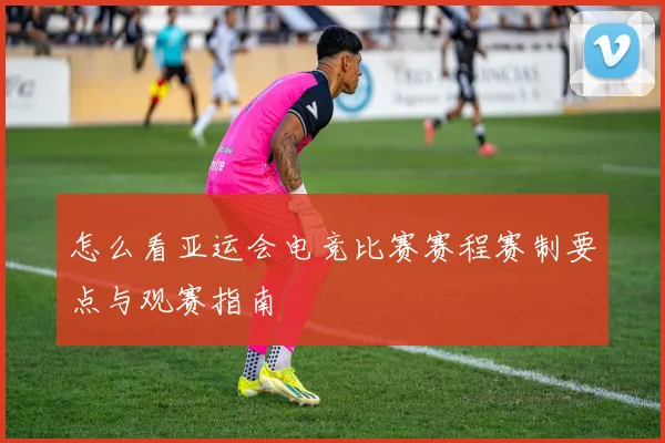 怎么看亚运会电竞比赛赛程赛制要点与观赛指南